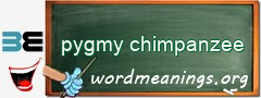 WordMeaning blackboard for pygmy chimpanzee